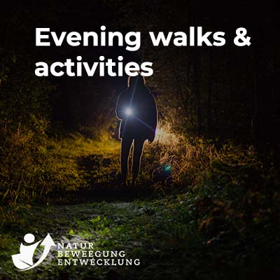 Evening walks & activities