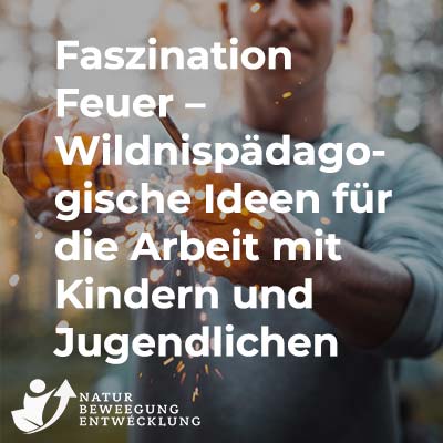 Faszination Feuer – Wildnispädagogische Ideen für die Arbeit mit Kindern und Jugendlichen