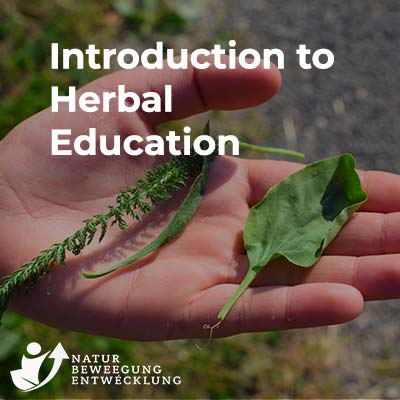 Introduction to Herbal Education