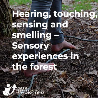 Hearing, touching, sensing and smelling – Sensory experiences in the forest